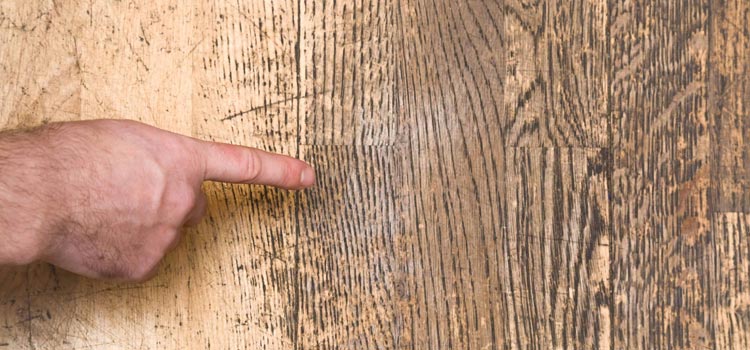 Wood Door Scratch Repair in Lombard, IL